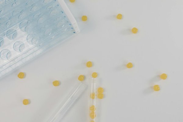 Huile de cbd : l'alliée contre vos douleurs quotidiennes